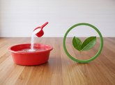 Solvent-Based Verse Water-Based Timber Floor Coatings?