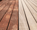 Equisol Strip