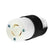 American Sanders Floorcrafter Plug Replacement