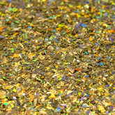 APC Diamond Holographic Resi Glitter 100g