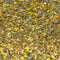 APC Diamond Holographic Resi Glitter 100g